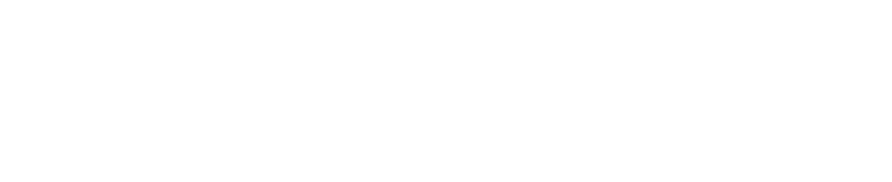 Быстрее пули logo